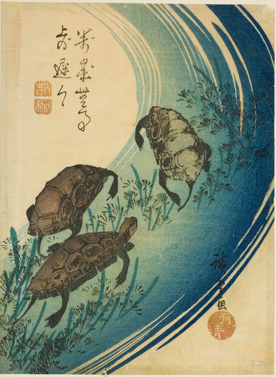 Teknősök úsznak a patakban alkotó: Utagawa Hiroshige