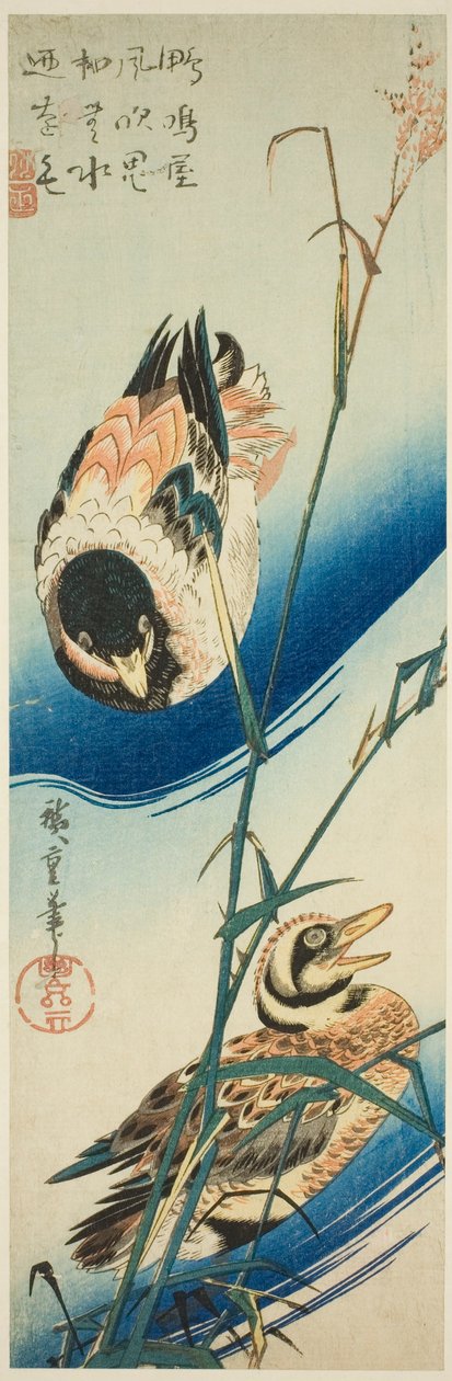 Két kacsa úszik a nád között alkotó: Utagawa Hiroshige