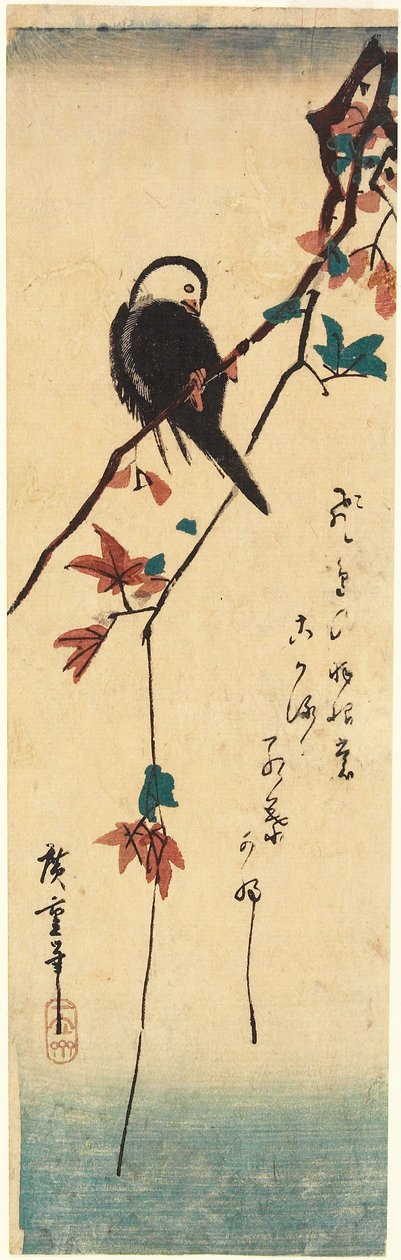 Fehérfejű madár egy juharfa ágán alkotó: Utagawa Hiroshige