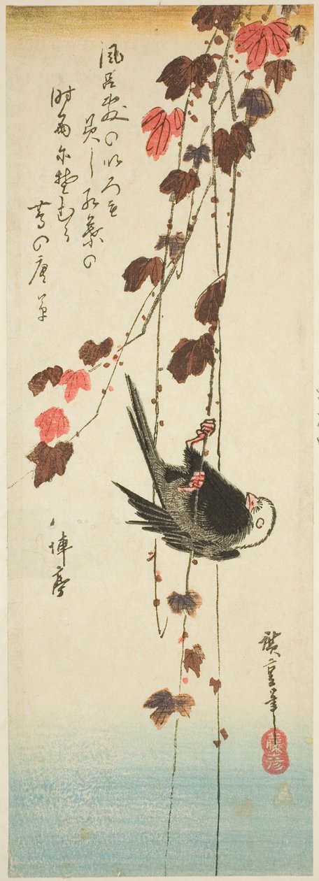 Fehérfejű madár és borostyán alkotó: Utagawa Hiroshige