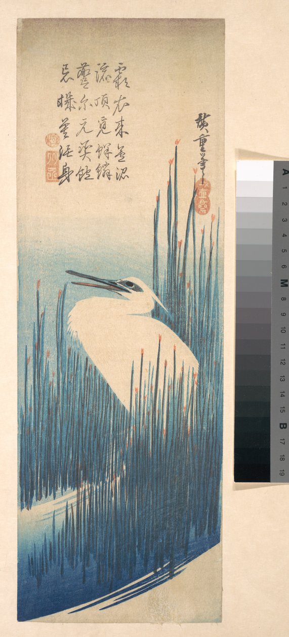 Weißer Reiher zwischen Schilf alkotó: Utagawa Hiroshige