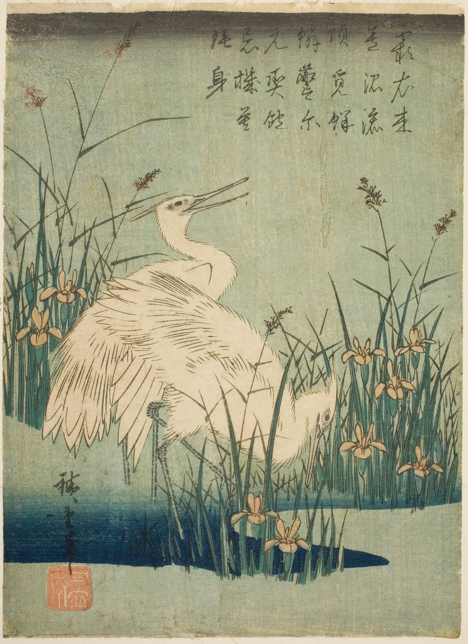 Fehér gém és írisz alkotó: Utagawa Hiroshige