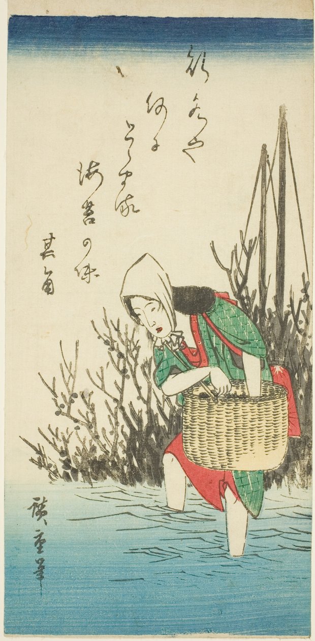 Nő gyűjtése hínár alkotó: Utagawa Hiroshige
