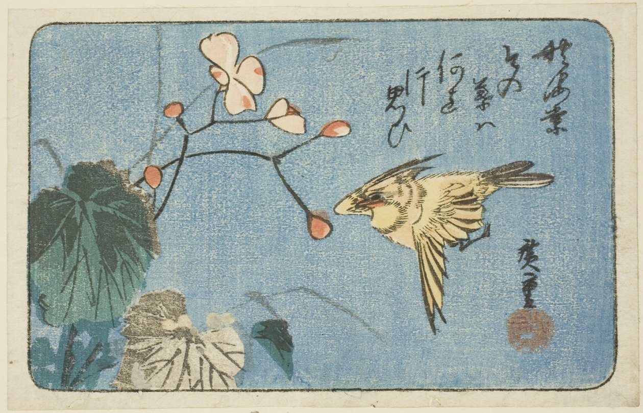 Sárga madár és begónia alkotó: Utagawa Hiroshige