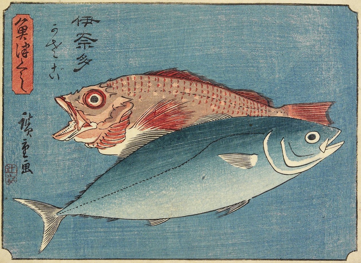 Sárgafarkú és sziklahal, 1830-1844 alkotó: Utagawa Hiroshige