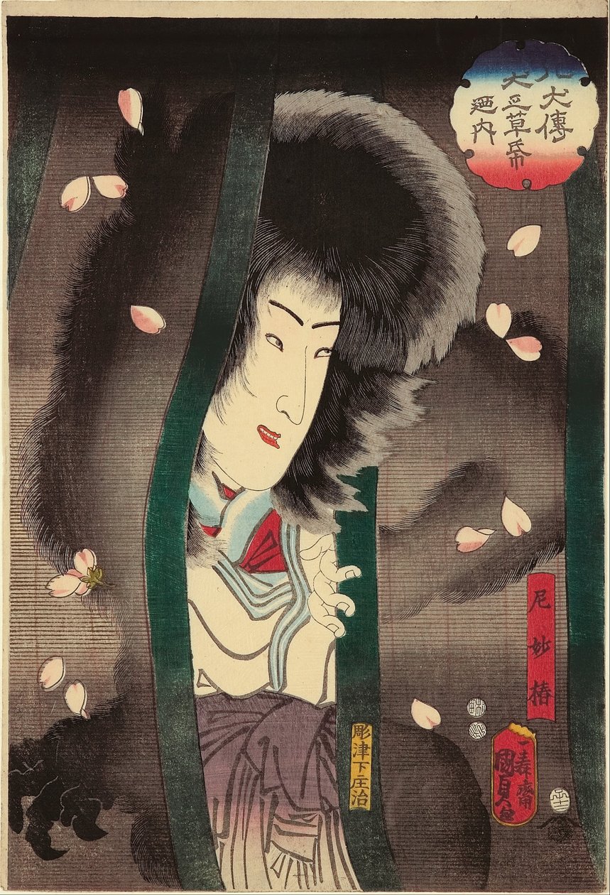 Az apáca macska (Ama Myochin) (a színész Segawa Kikunojo V), XII/1852 a "A kutya mesekönyvből, a nyolc kutyahős meséje" (Hakkenden inu no soshi no uchi) című sorozatból alkotó: Utagawa Kunisada II