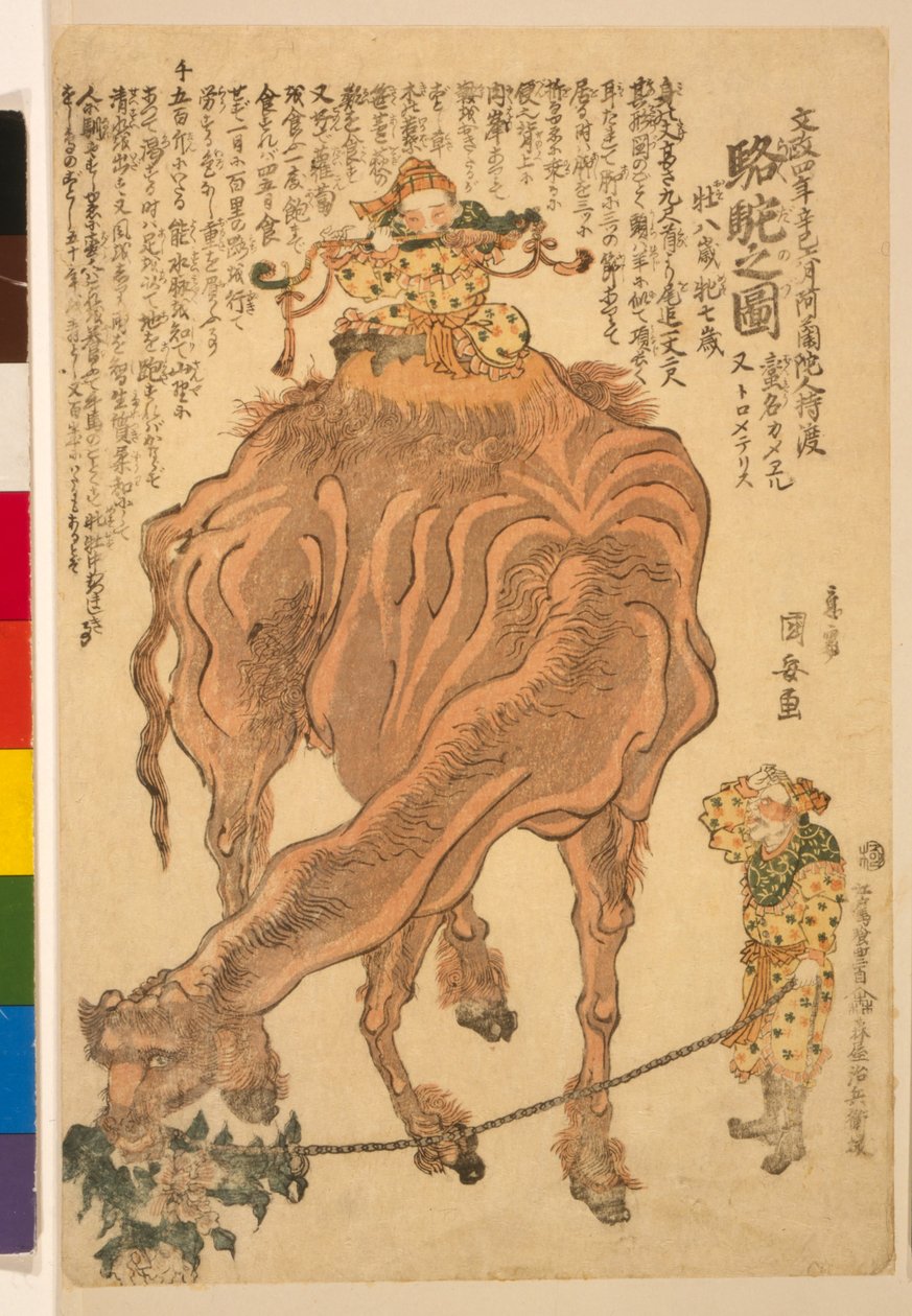 Egy Camel, kocsma. 1824 (kézzel színezett fametszet) alkotó: Utagawa Kuniyasu