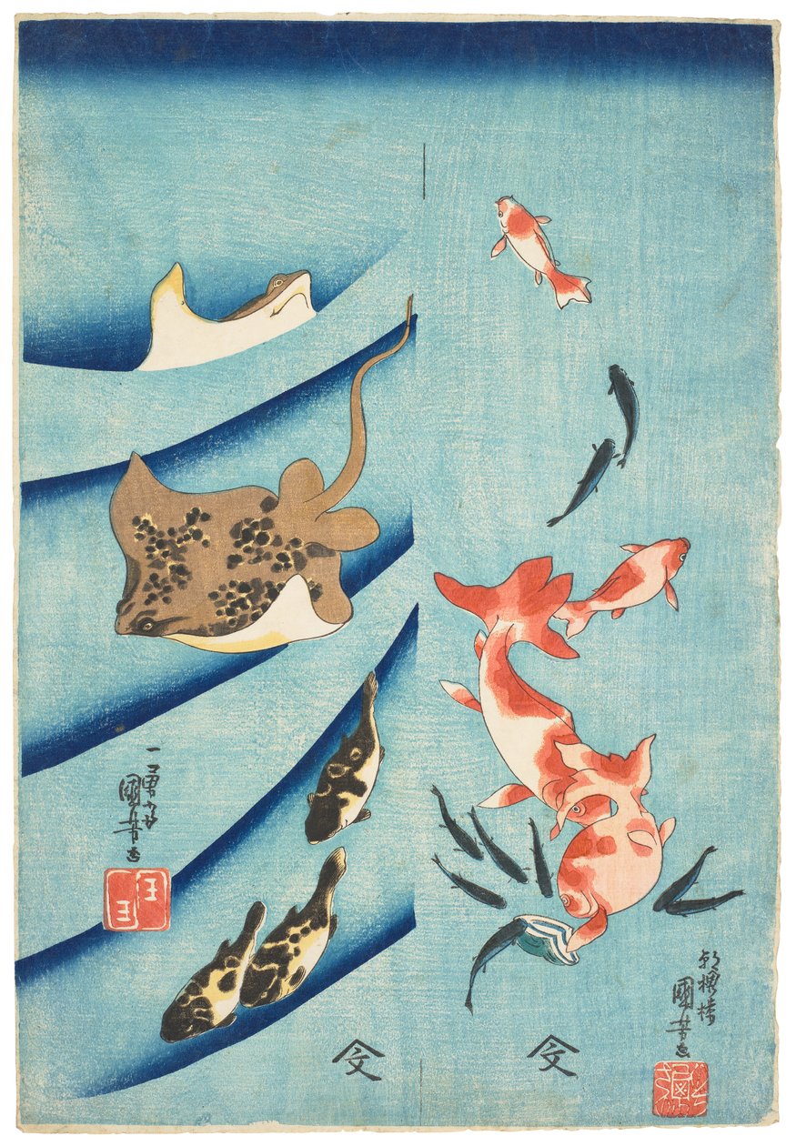 Aranyhal, gyilkoshal, rája és gömbhal, 1837 körül (fametszet) alkotó: Utagawa Kuniyoshi