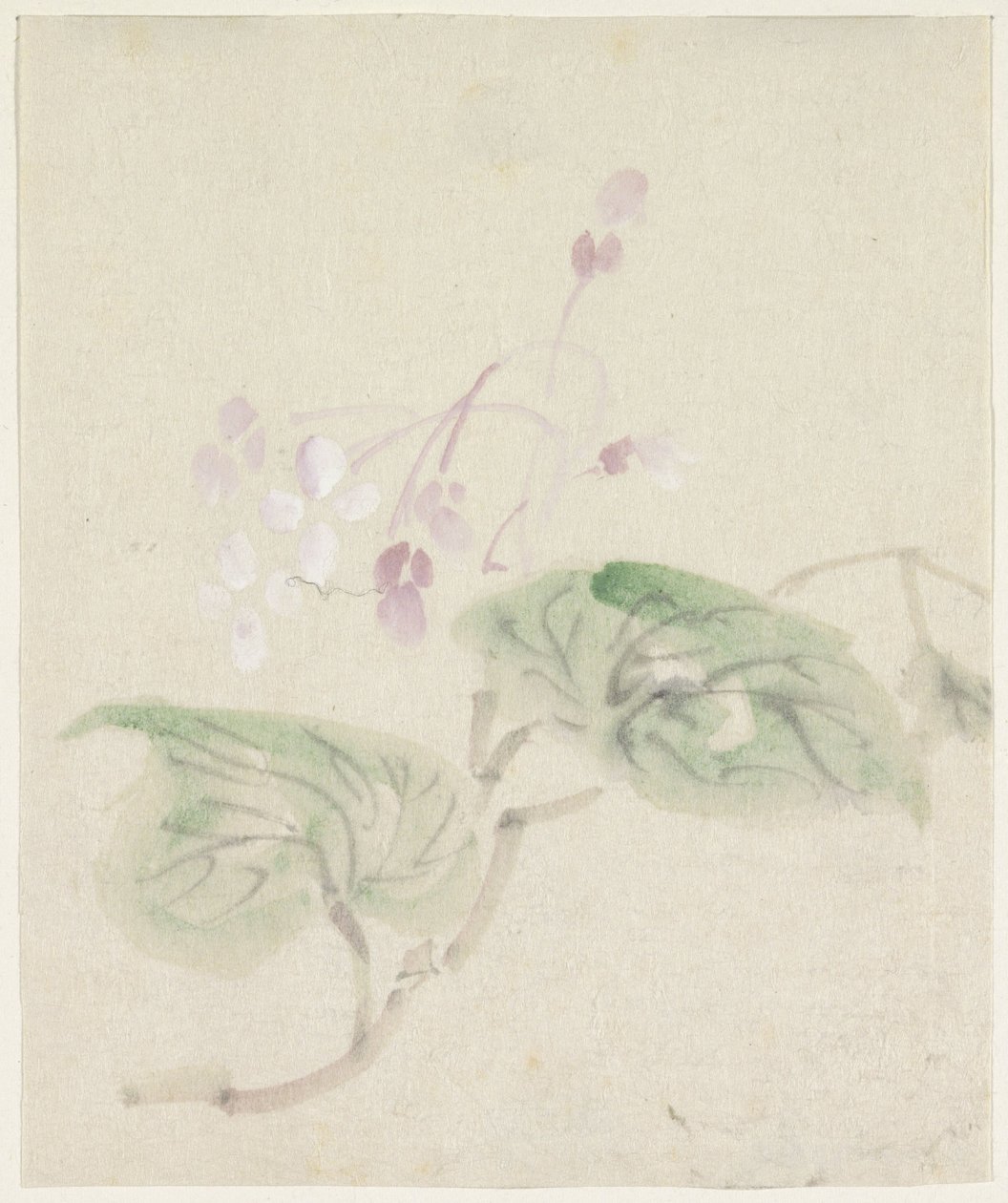 Roze wisteria alkotó: Utagawa Kuniyoshi
