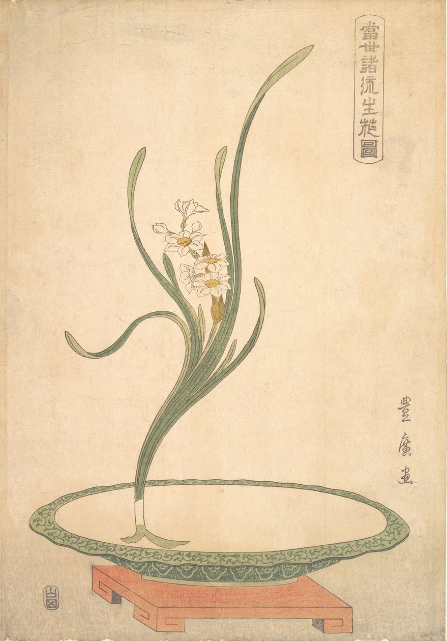 Suisen Narcissus virágkötészeti lapos zöld edényben. alkotó: Utagawa Toyohiro