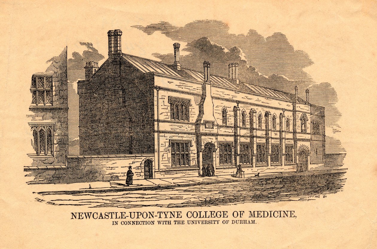 Orvosi Főiskola, Newcastle upon Tyne alkotó: Utting