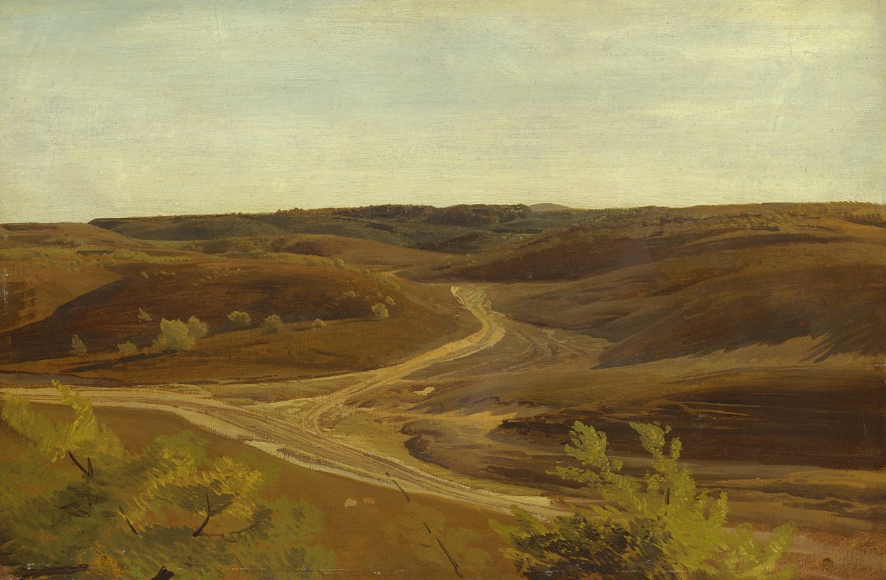 A Moorland Ehestorf közelében, 1868 (olaj, papír a fedélzeten) alkotó: Valentin Ruths