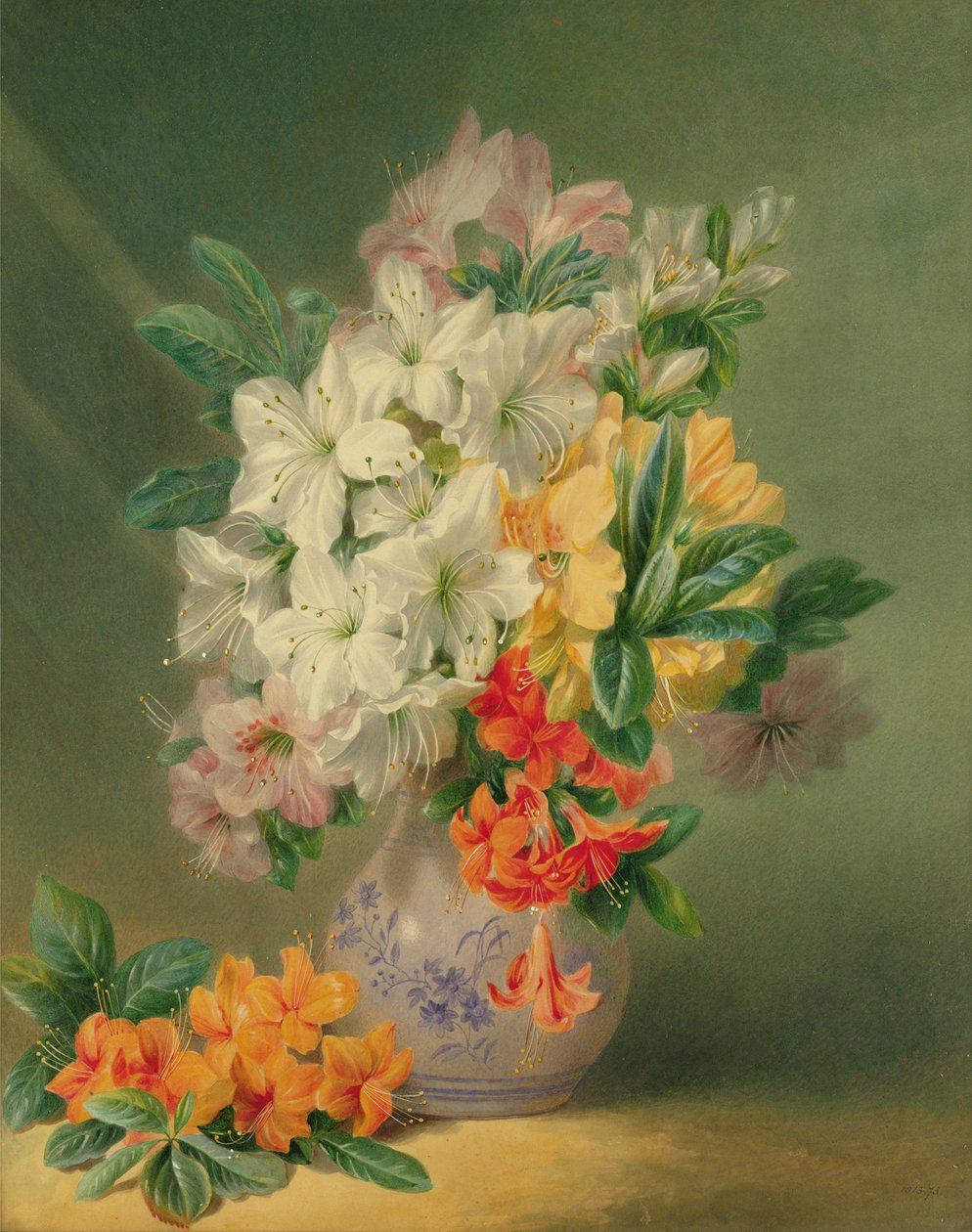 Azálea, 19. század alkotó: Valentine Bartholomew