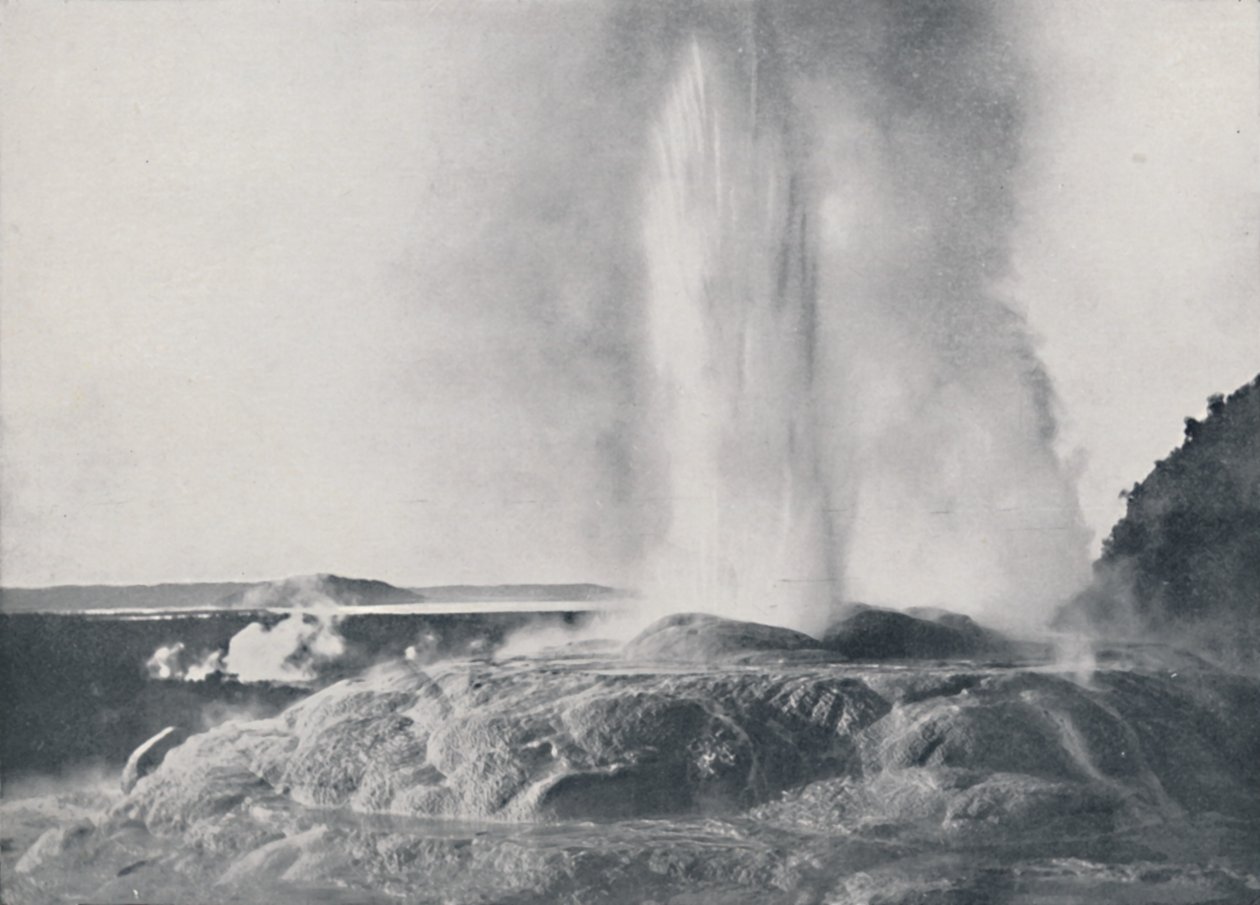 Gejzír, Új-Zéland, 1924 alkotó: Valentine and Sons Ltd