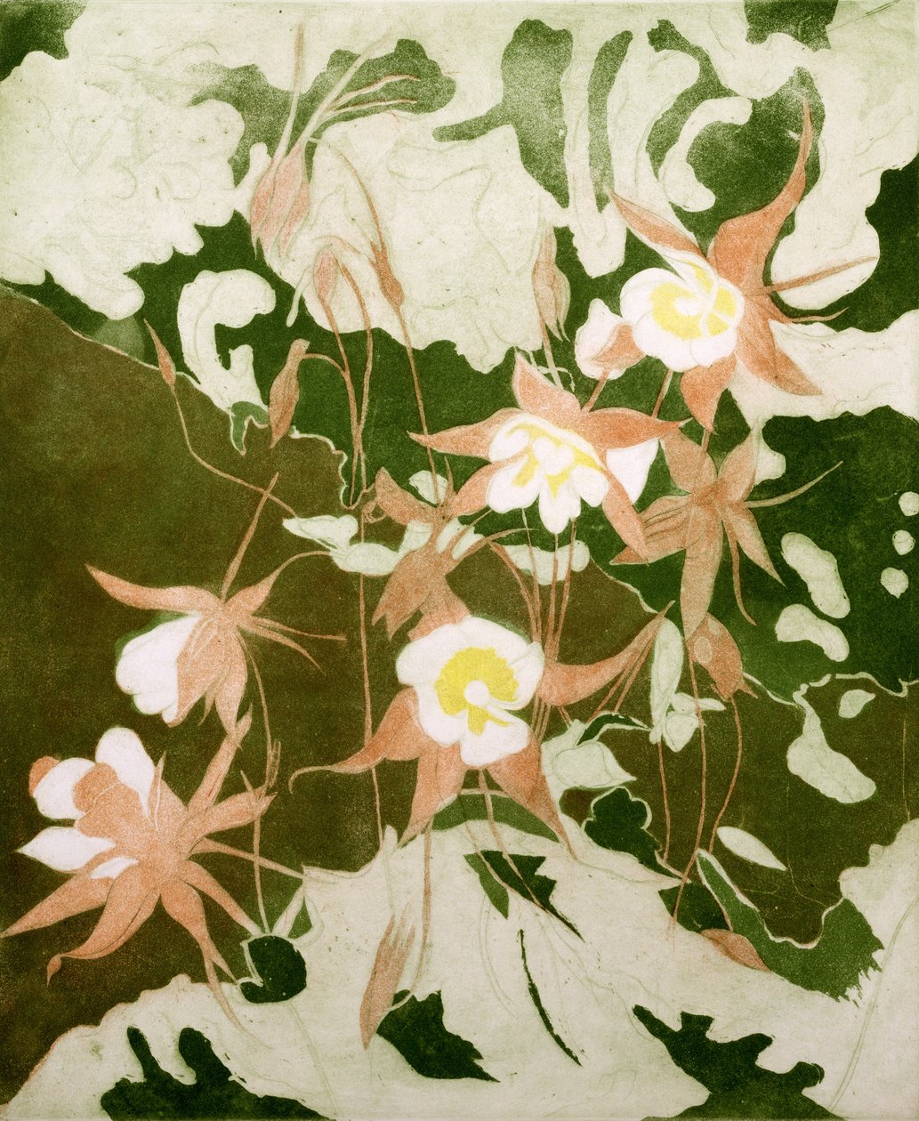 Columbines (nyomtatott) alkotó: Valerie Daniel