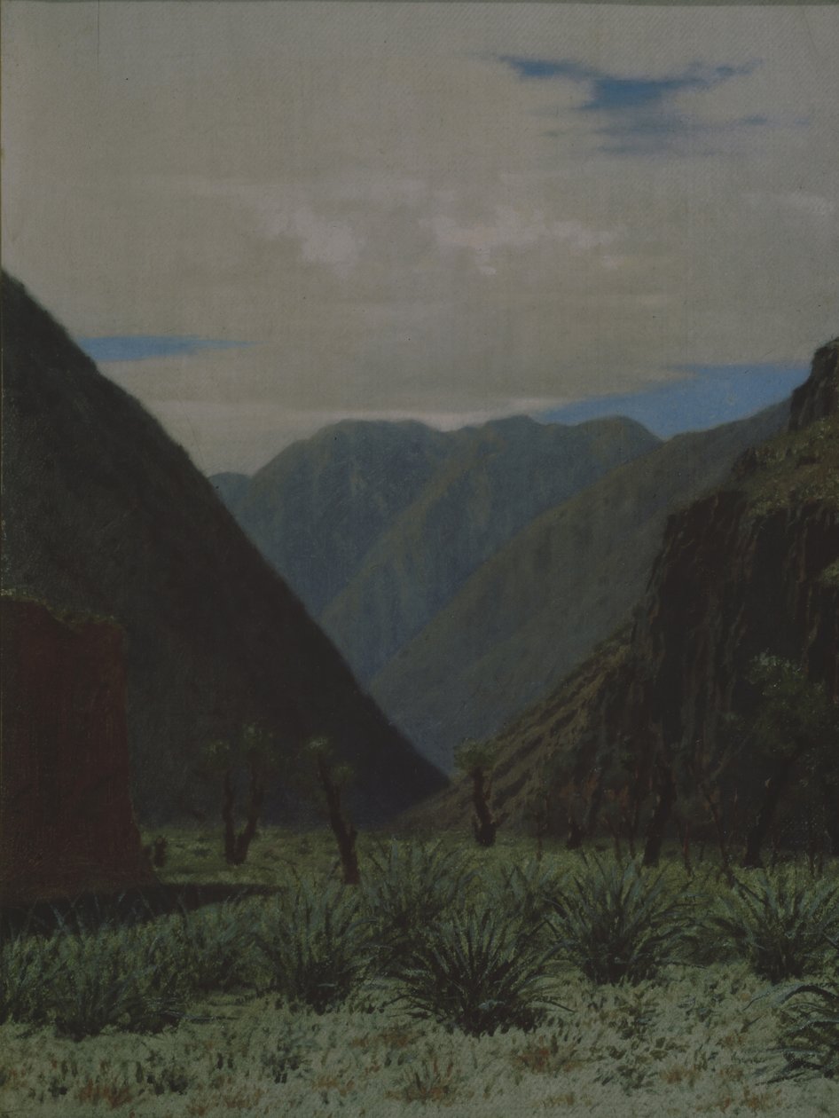 A Barskauni-hágó alkotó: Vasili Vasilievich Vereshchagin