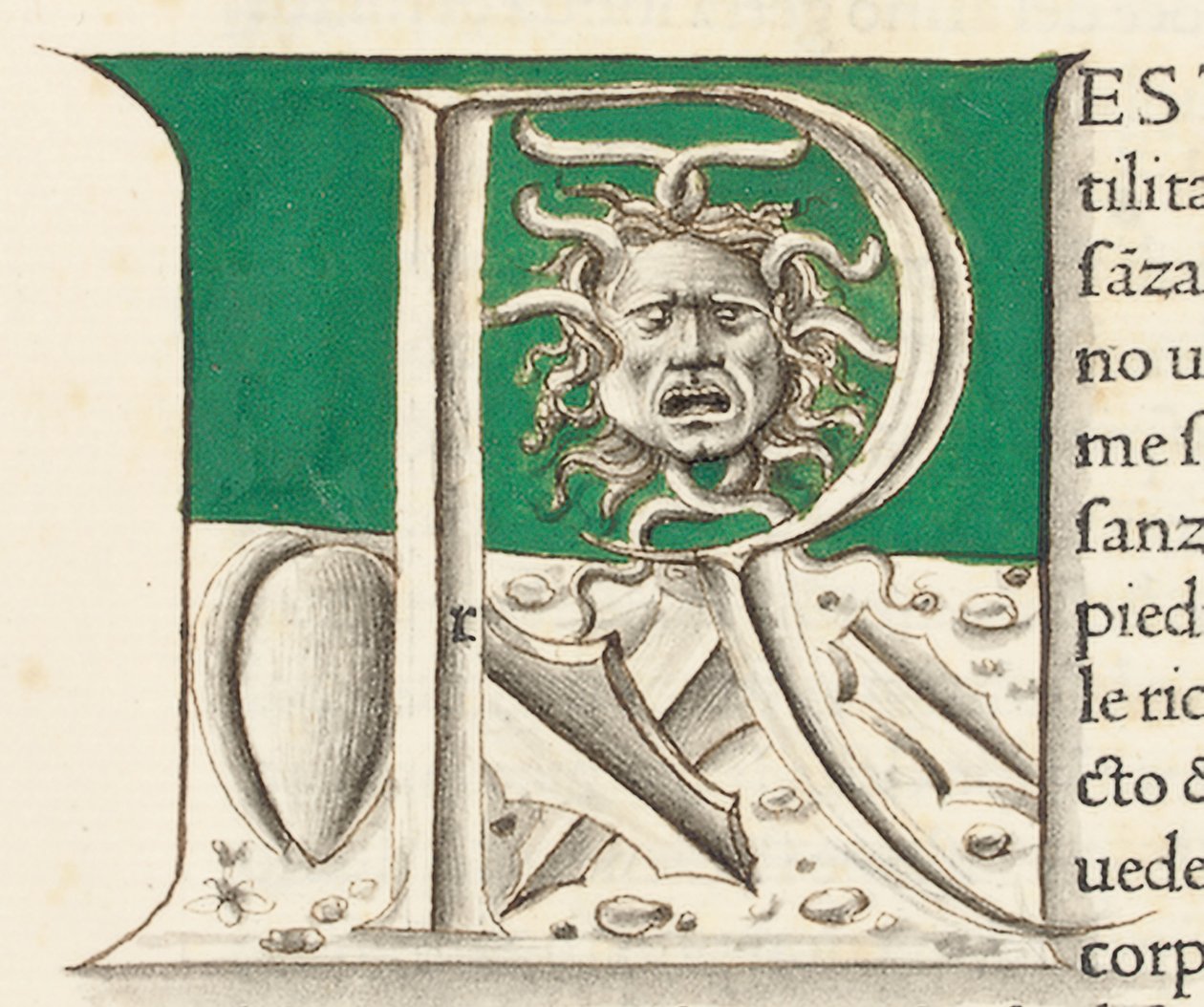 Részlet Idősebb Plinius „Historia Naturalis”-jából alkotó: Venetian School