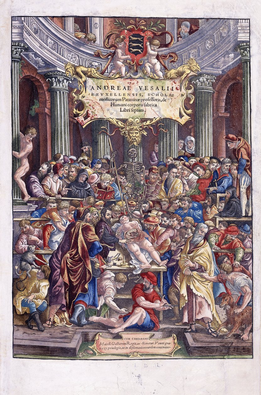 Andreas Vesalius flamand anatómus és orvos, leckét tart a brüsszeli orvosi iskolában, 1543 alkotó: Venetian School