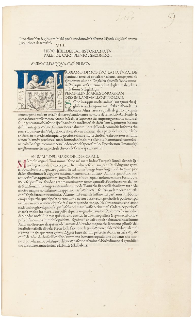 Idősebb Plinius „Historia Naturalis”. alkotó: Venetian School
