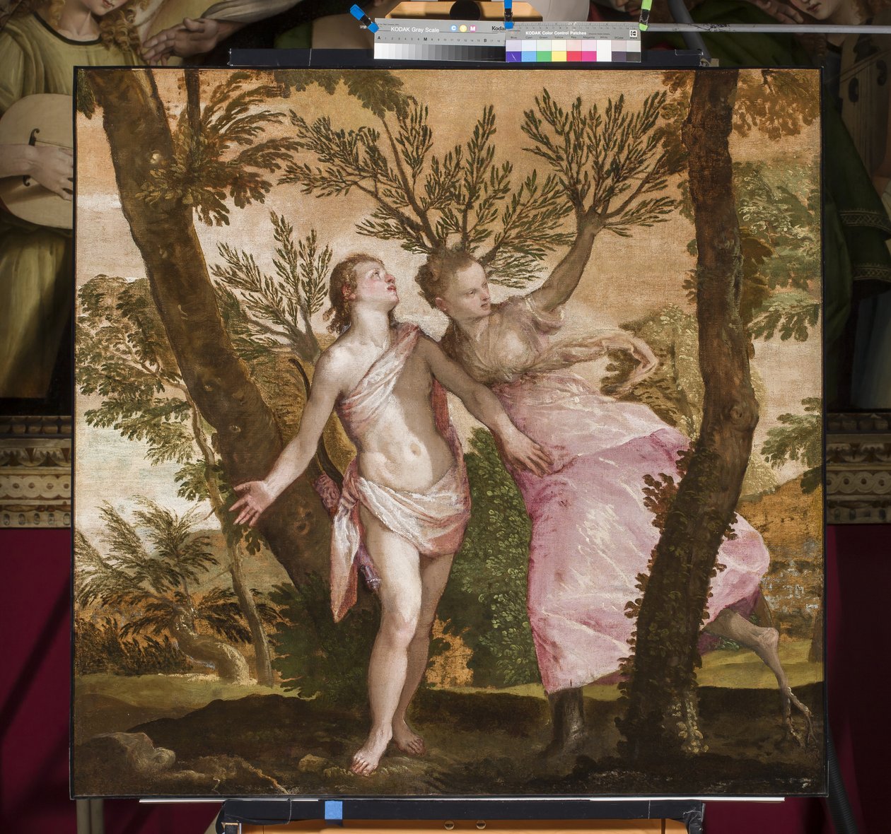 Apolló és Daphne, 1560-65 körül alkotó: Paolo Veronese
