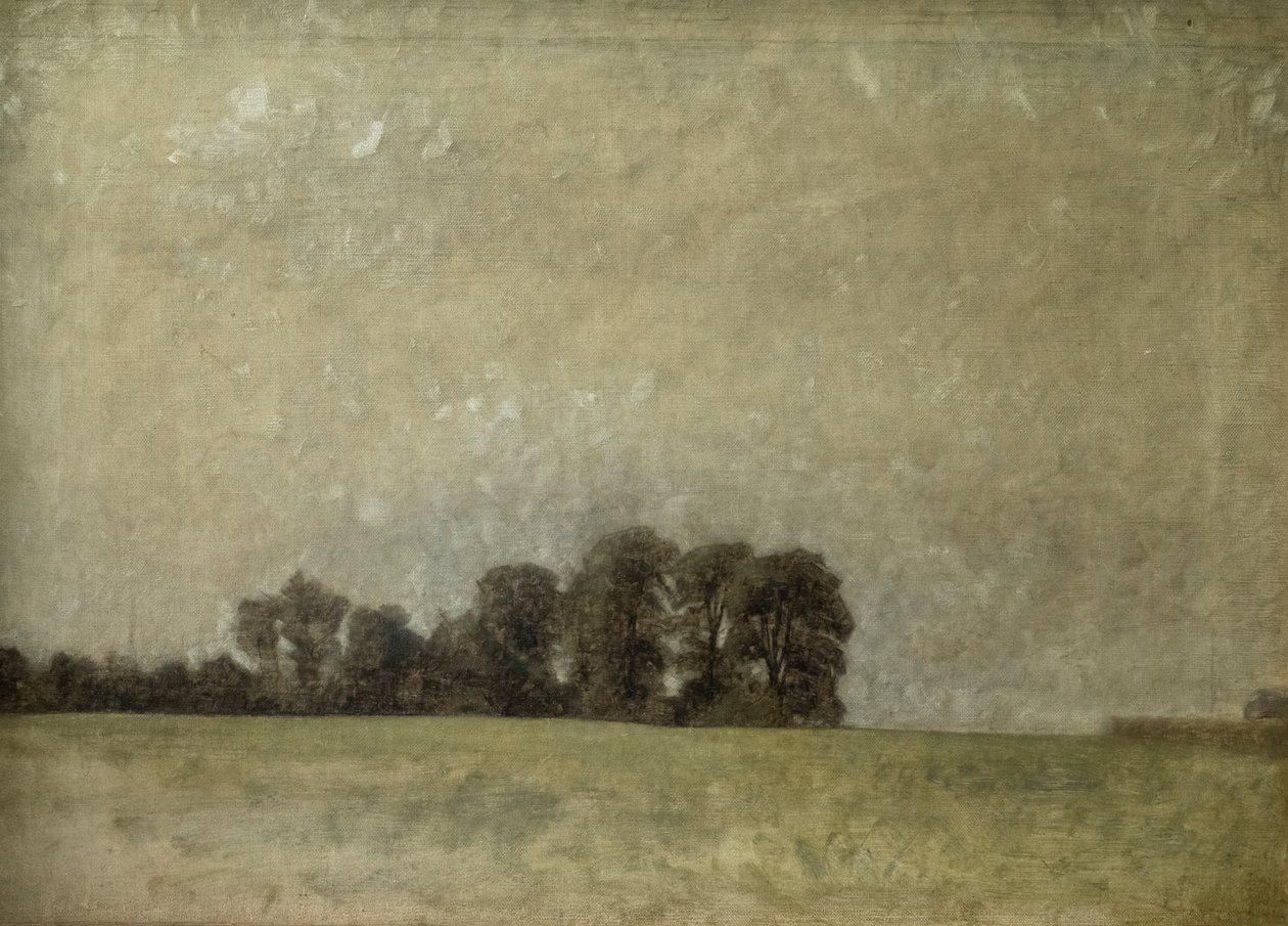 Táj, 1909 alkotó: Vilhelm Hammershoi