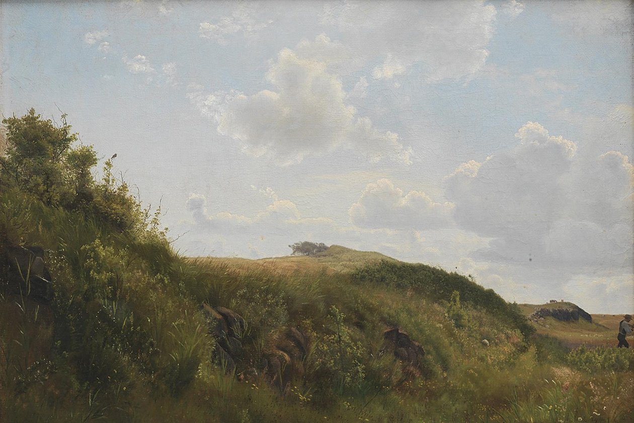 Június nap Rørvigben alkotó: Vilhelm Kyhn