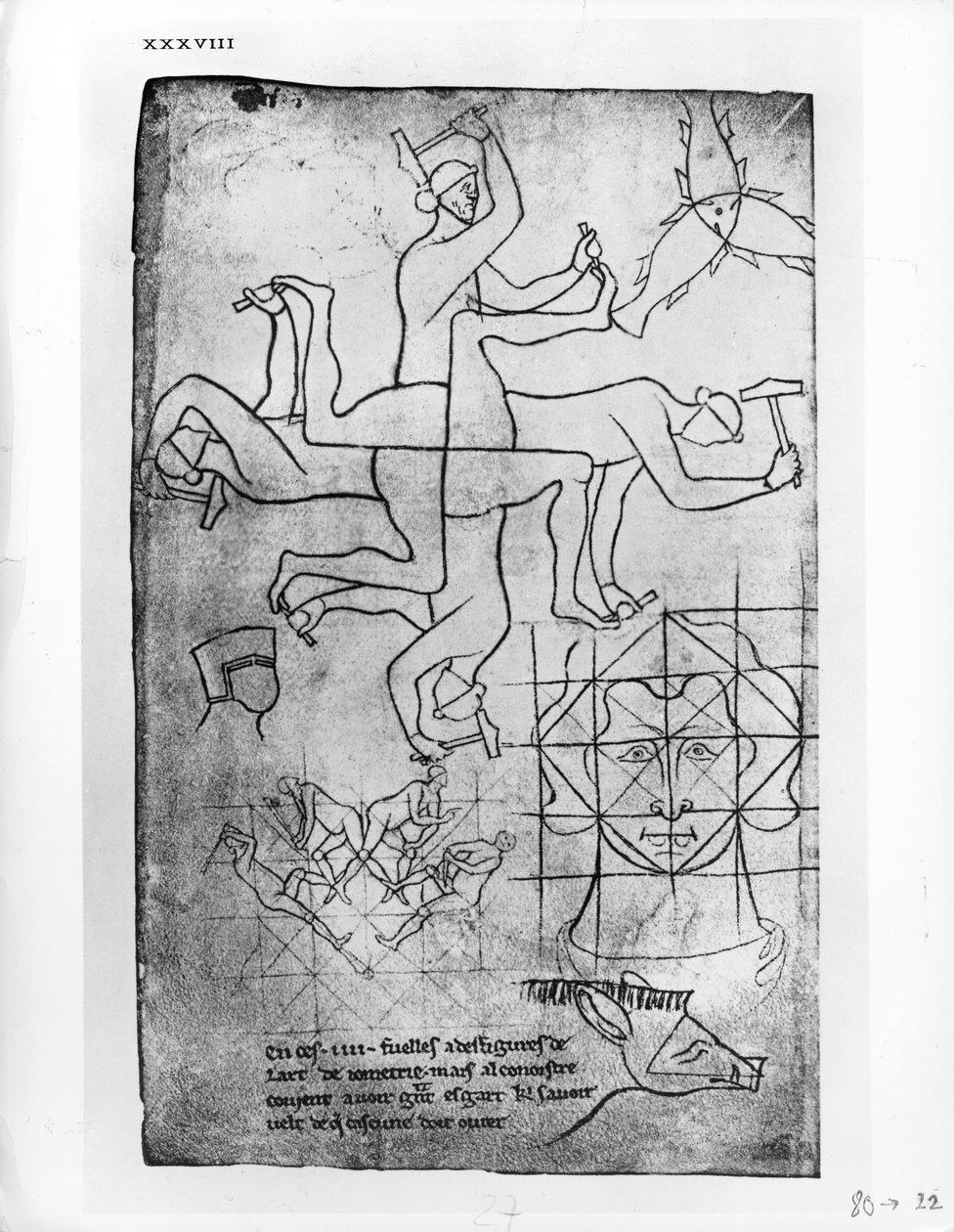 Ms Fr 19093 fol.19v Férfi- és állattanulmányok fakszimile másolata alkotó: Villard de Honnecourt