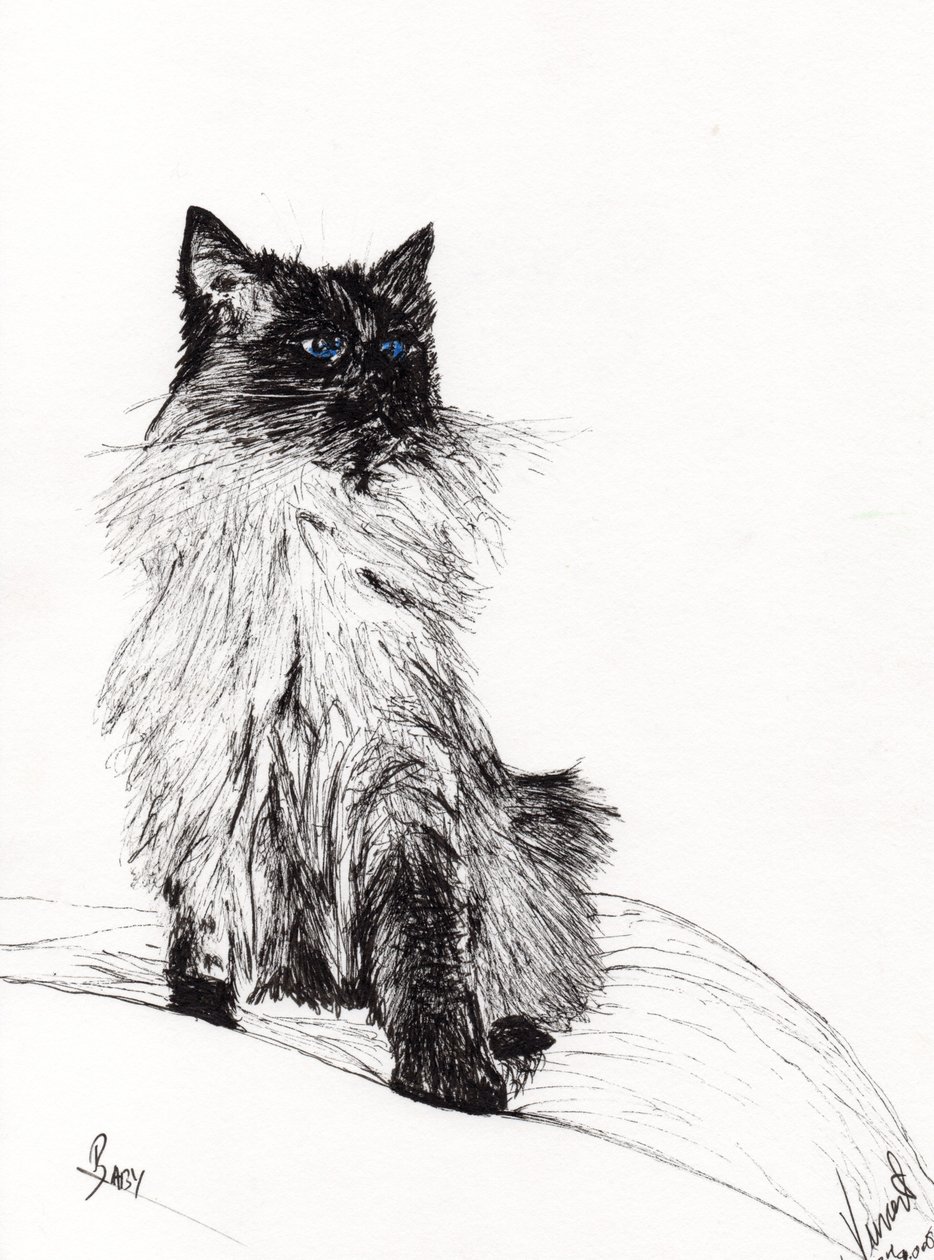 Baba, 2008, (tinta papíron) alkotó: Vincent Alexander Booth