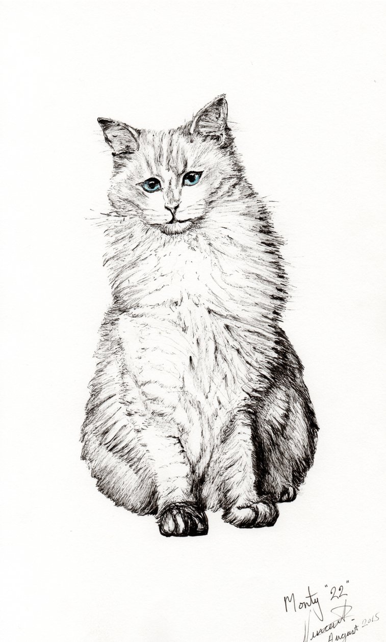 Fiú, 2015, (tinta papíron) alkotó: Vincent Alexander Booth