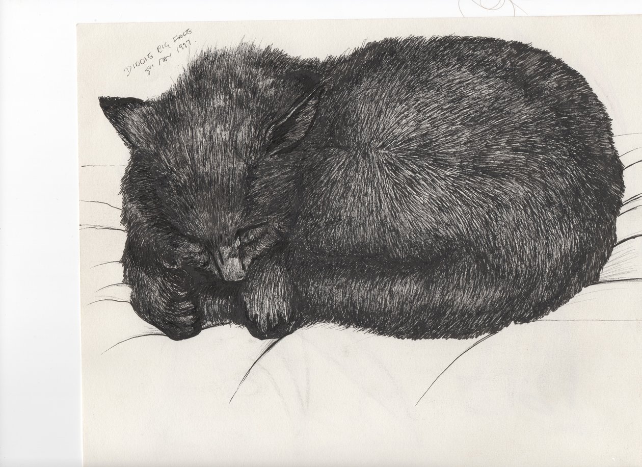 Diddy big face, 1997, (tinta papíron) alkotó: Vincent Alexander Booth