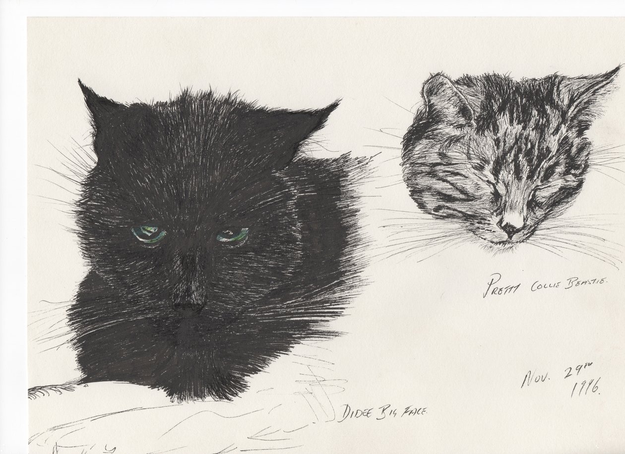 Diddybigface & colliebeastie, 1996, (tinta papíron) alkotó: Vincent Alexander Booth