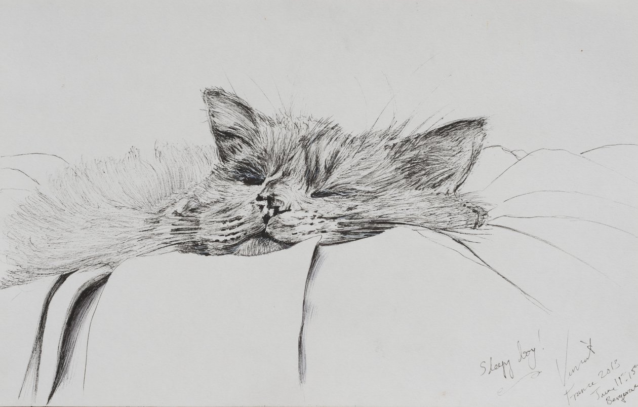 Monty sleepy boy, 2013, (Tinta, papír) alkotó: Vincent Alexander Booth