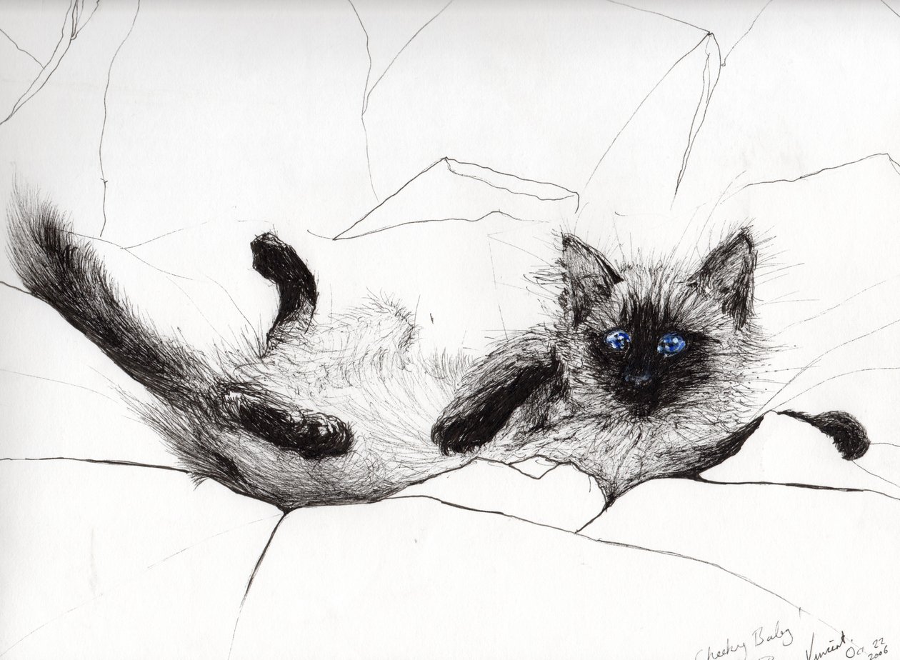 Play baby, 2006, (tinta papíron) alkotó: Vincent Alexander Booth