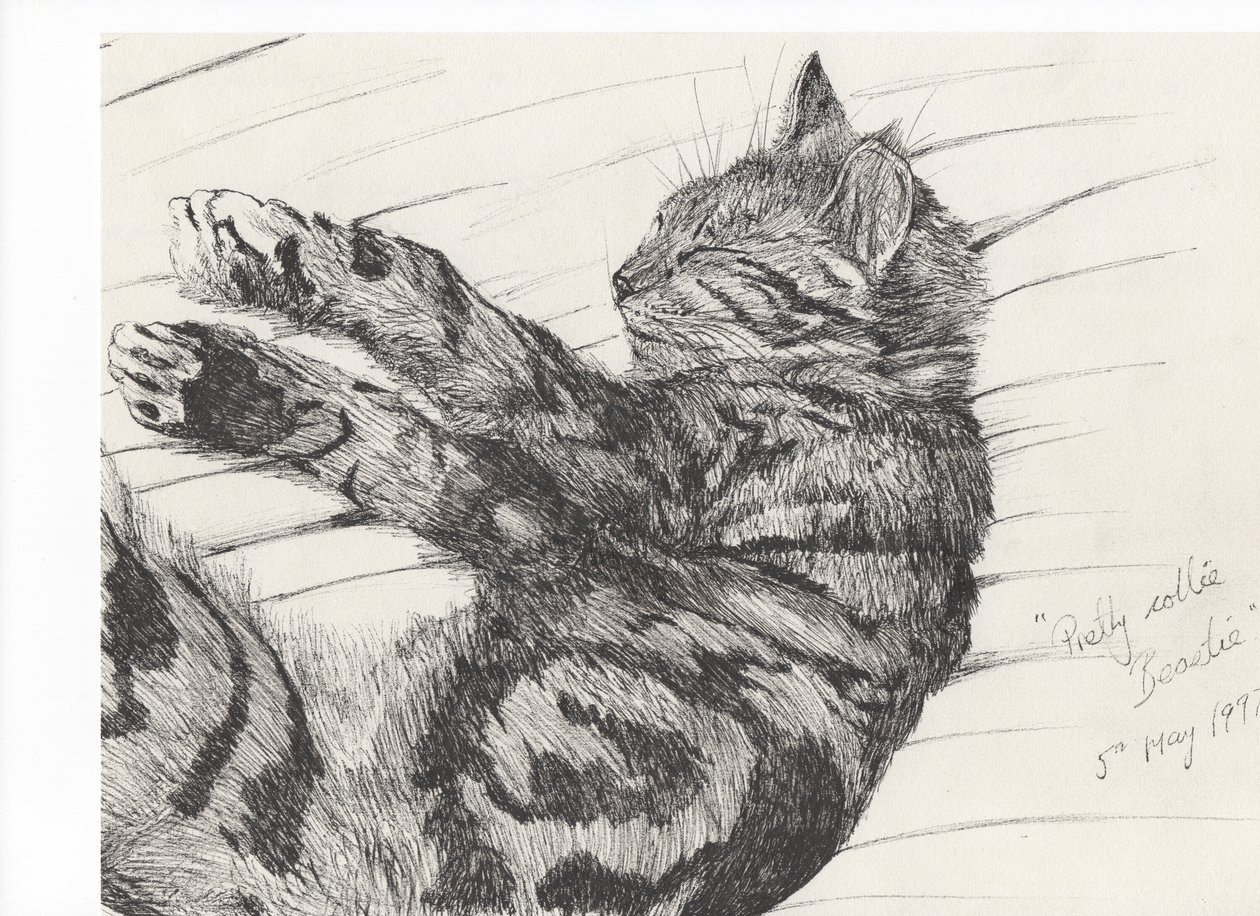 Pretty collie beastie, 1997, (tinta papíron) alkotó: Vincent Alexander Booth