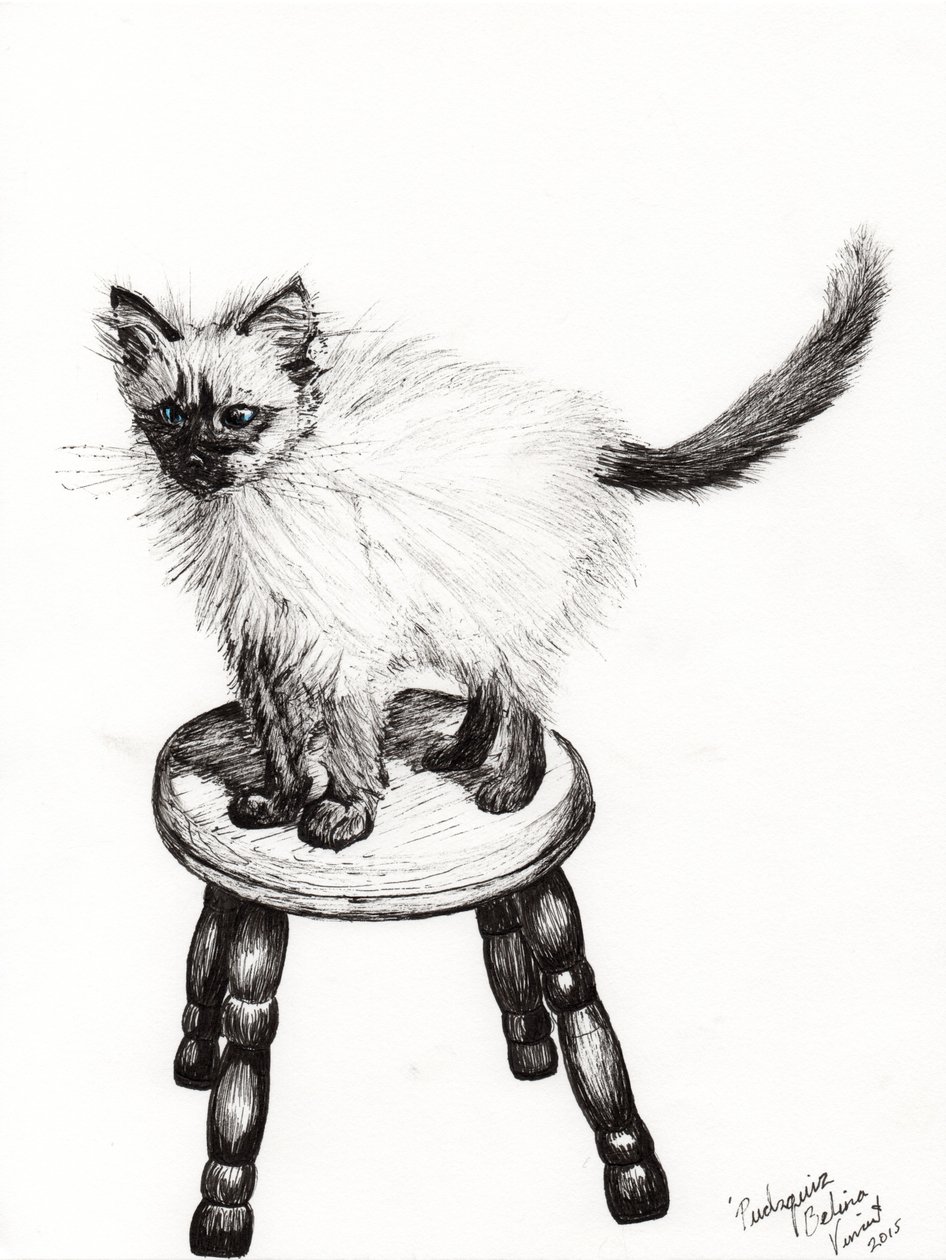 Pudsquiz Belina, 2015, (tinta papíron) alkotó: Vincent Alexander Booth