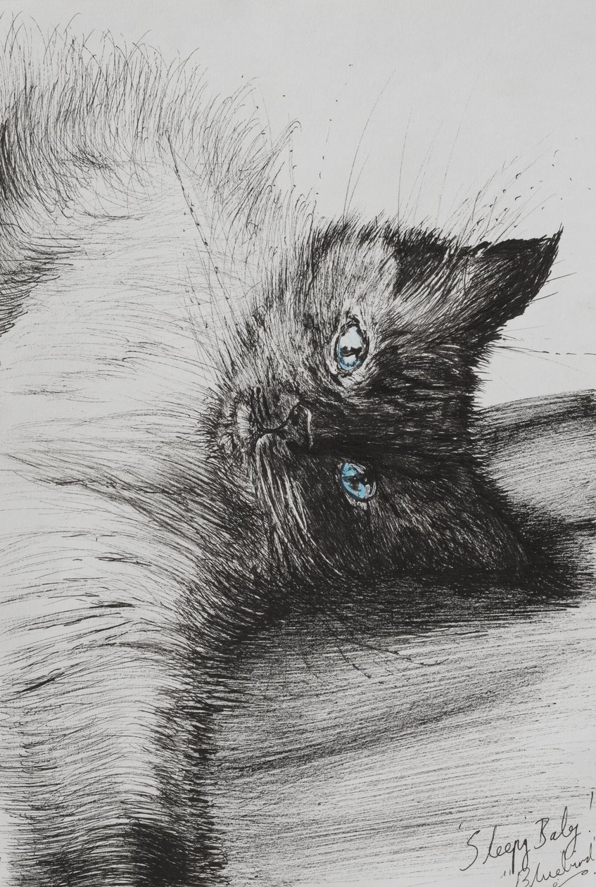Reach, 2012, (tinta papíron) alkotó: Vincent Alexander Booth