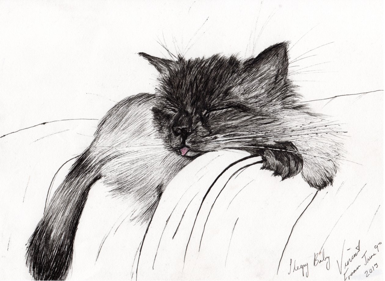 Sleepy Baby, 2013, (tinta papíron) alkotó: Vincent Alexander Booth