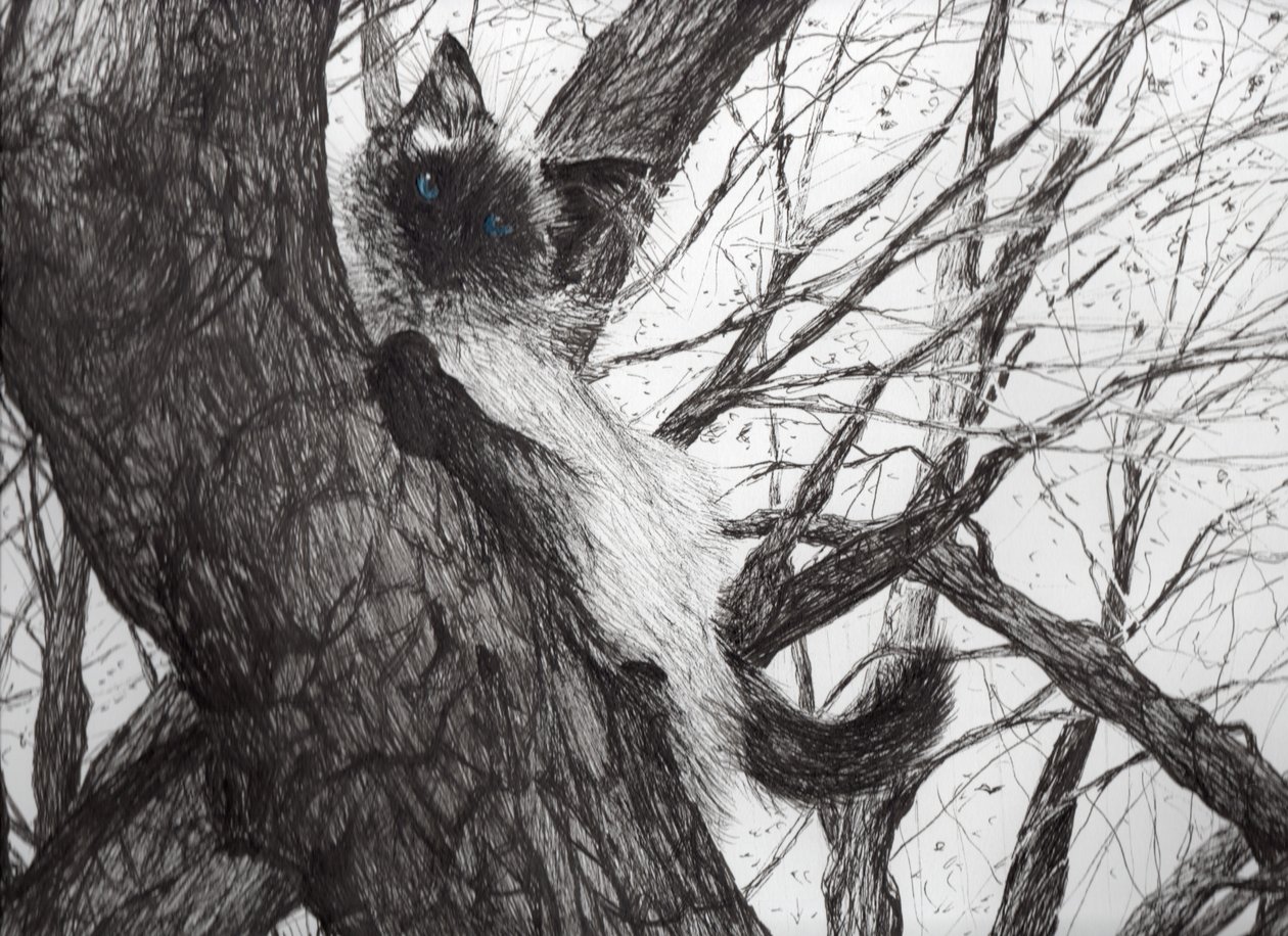 Fel az almafára, 2006 (tinta papíron) alkotó: Vincent Alexander Booth