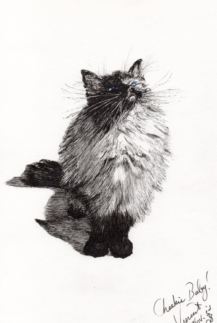 cheekie baby, 2008, (tinta, papír) alkotó: Vincent Alexander Booth