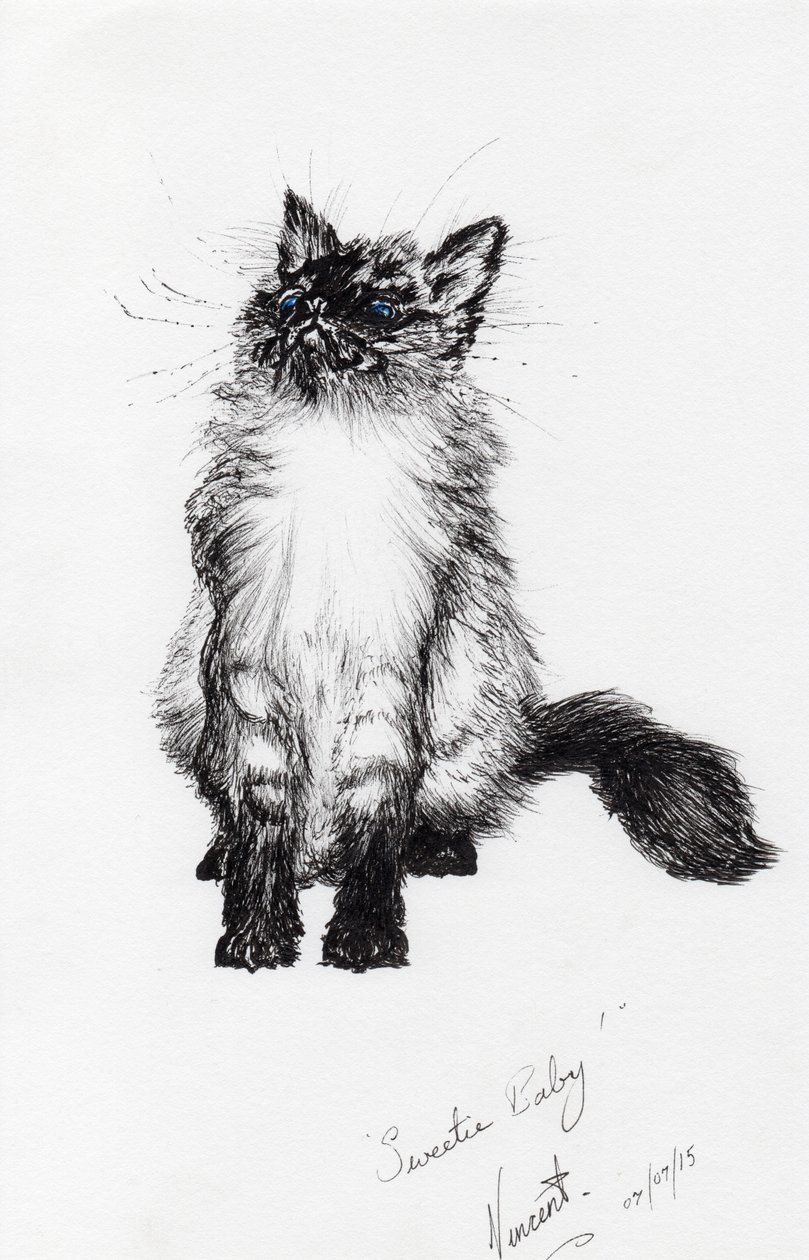 édes bébi, 2015, (tinta papíron) alkotó: Vincent Alexander Booth