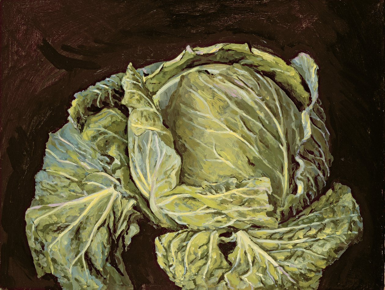 Káposzta csendélet, 2000 alkotó: Vincent Yorke