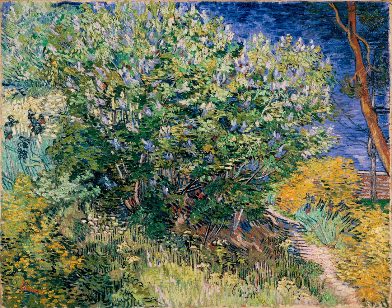 Lila bokor (lila) alkotó: Vincent van Gogh