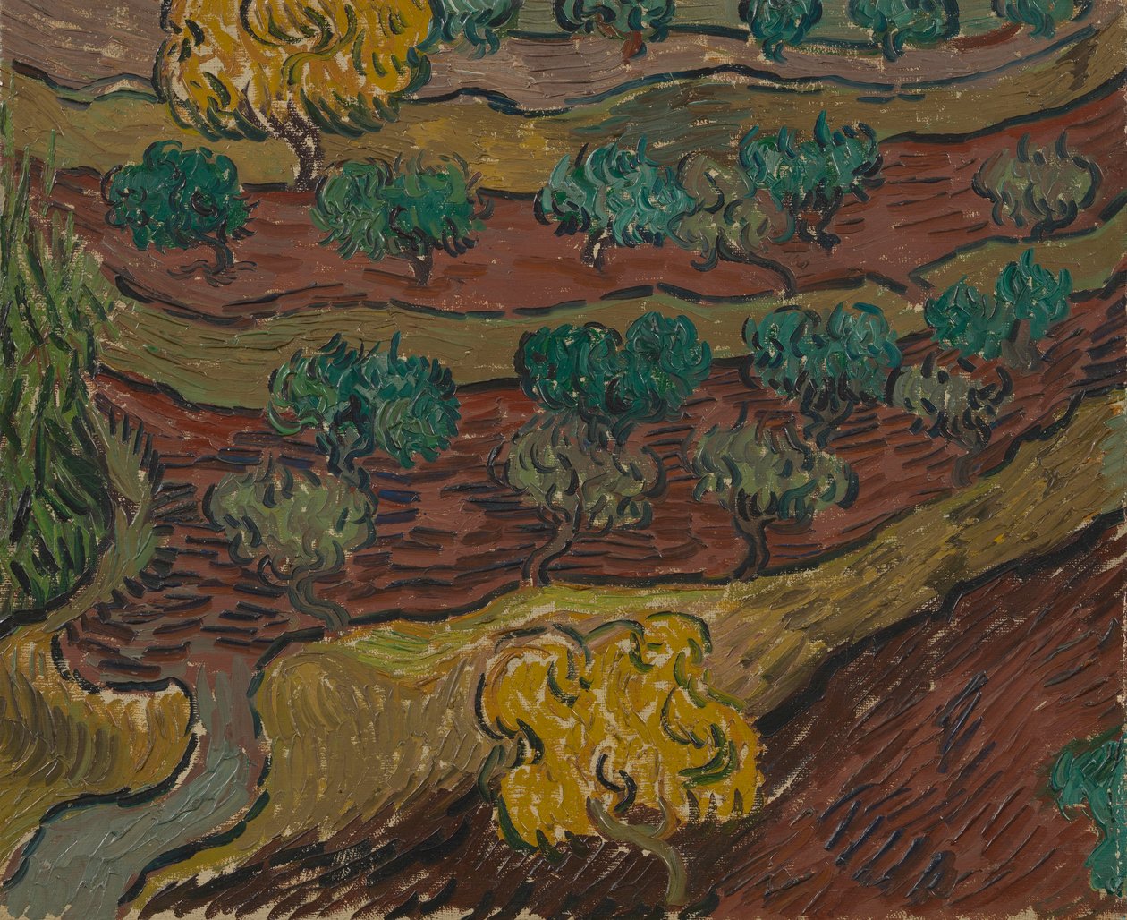 Olajfák a domboldalon alkotó: Vincent van Gogh