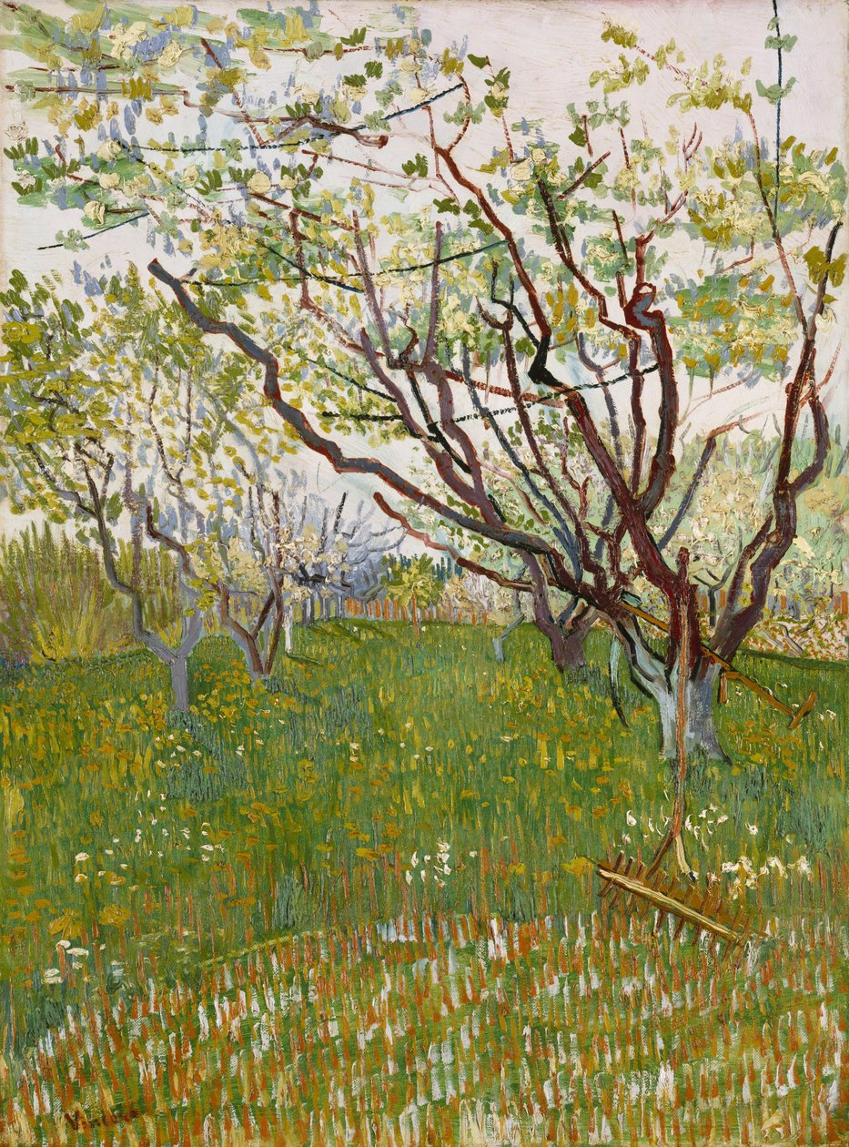 A virágzó gyümölcsös alkotó: Vincent van Gogh