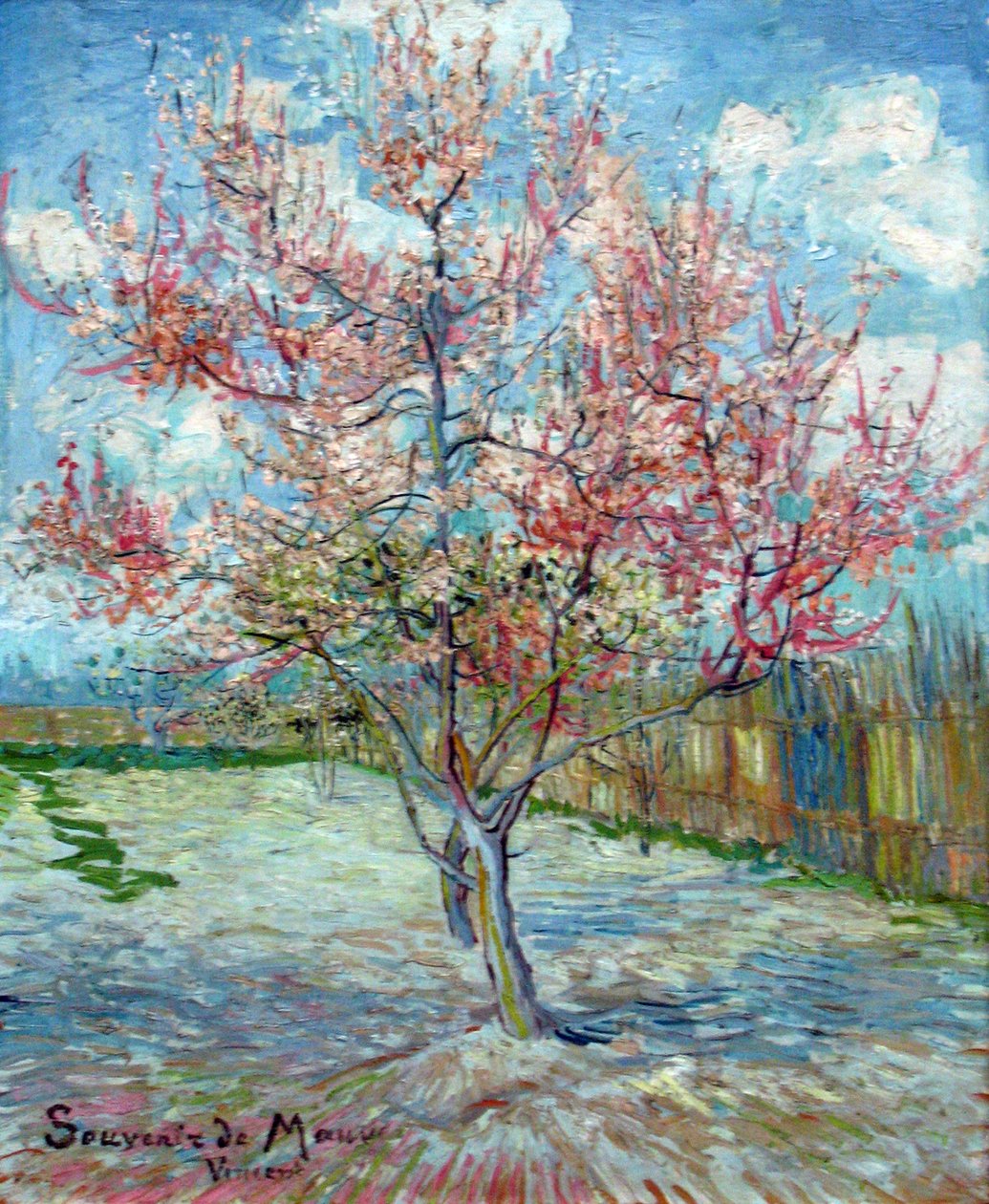 Rosa Pfirsichbäume (Souvenir de Mauve) alkotó: Vincent van Gogh