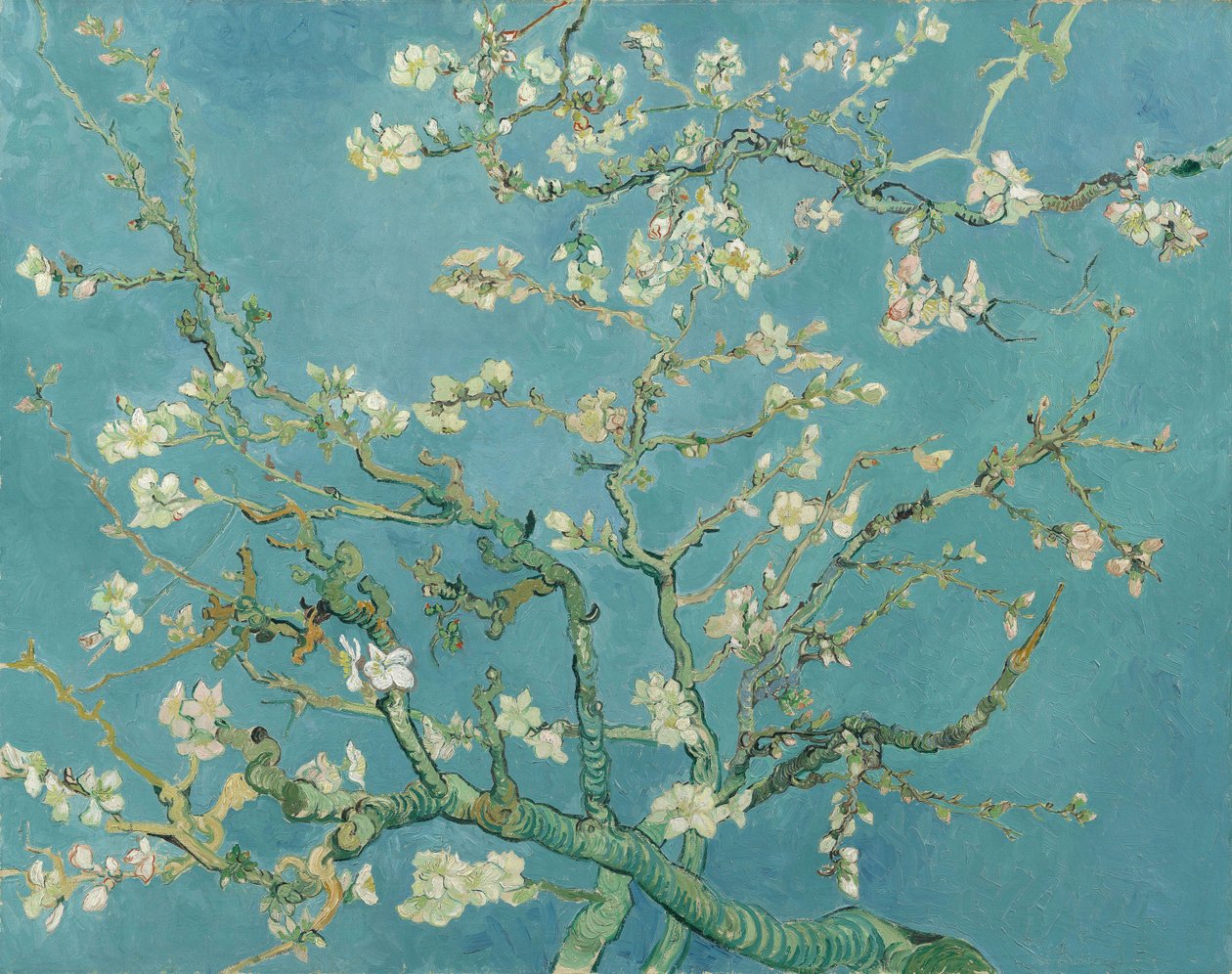Mandulavirág alkotó: Vincent van Gogh