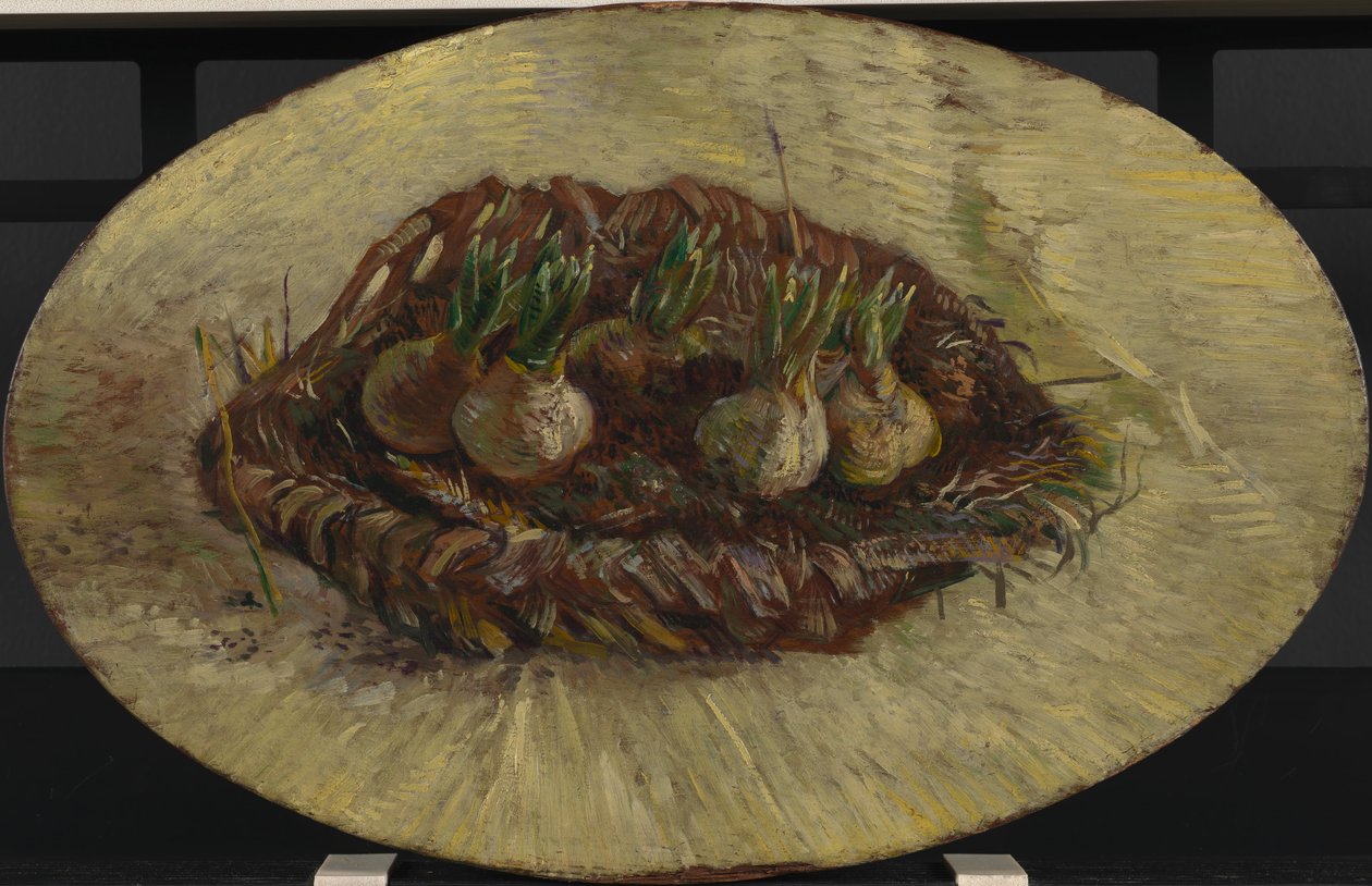 Jácint izzókosár alkotó: Vincent van Gogh