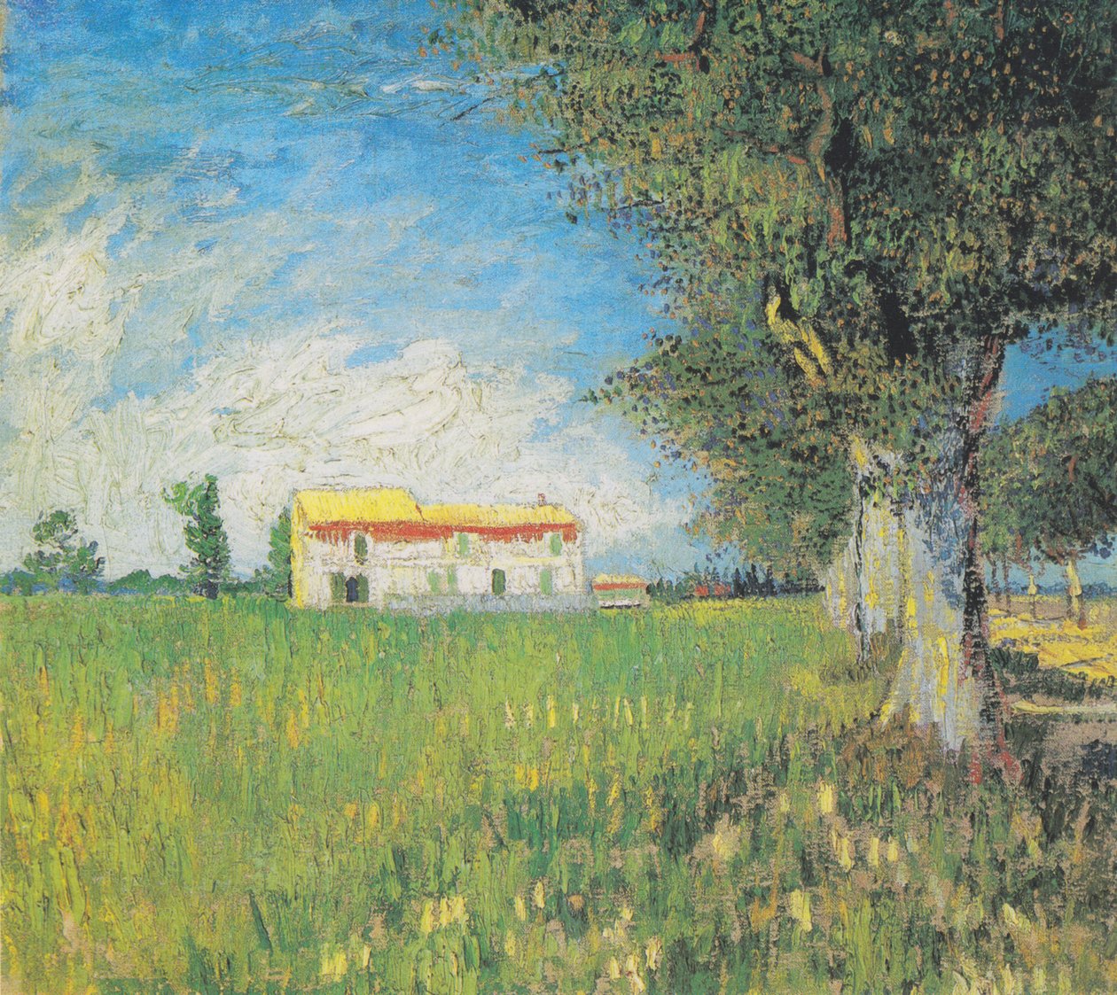 Tanyasi ház a búzamezőn alkotó: Vincent van Gogh