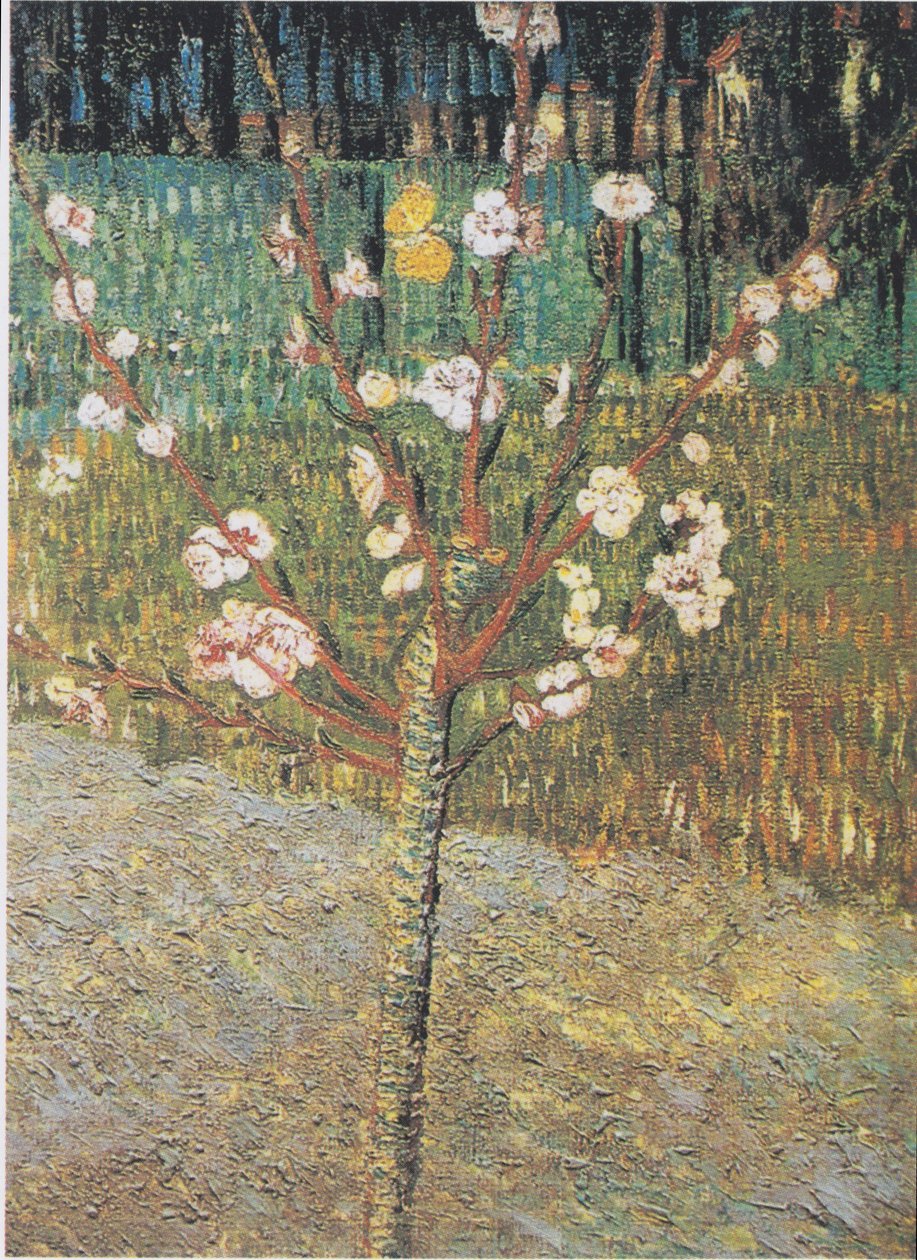 Virágzó mandulafa alkotó: Vincent van Gogh