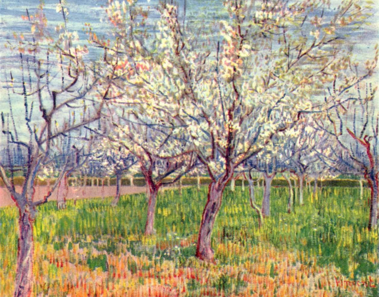 Virágzó gyümölcsös alkotó: Vincent van Gogh
